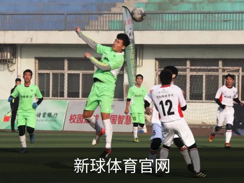 新球体育官网